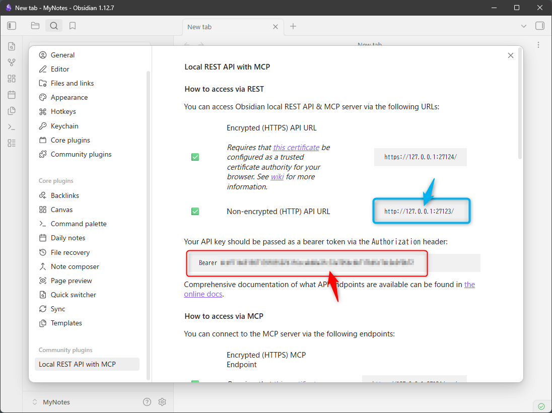 Copy the API key